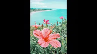cute summer wallpapers