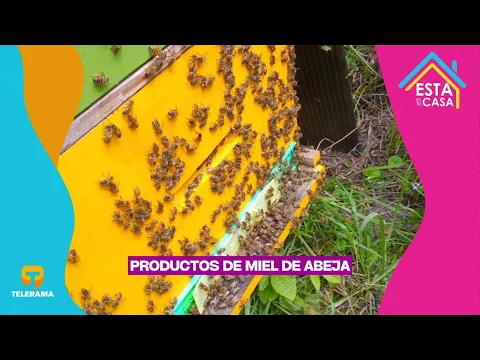 Productos de miel de abeja
