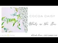 Cocoa Daisy - What’s in the Box - Tranquillity - May 2021