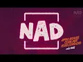 Afro House Club Mix 2026 | NAD (Vanco, Ape Drums, Bun Xapa, Themba)