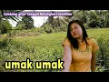 Download Lagu Gitar tunggal Batanghari sembilan UMAK UMAK lagu daerah Sumsel 