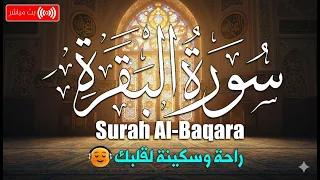 سورة البقرة _ قران الصباح و المساء لحفظ وتحصين المنزل وجلب البركة | Sourah Baqara quran karem