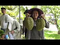 Download Lagu KHÁCH ĐẾN NGHĨ DƯỠNG MUA TRÁI CÂY TẠI HOMSTAY LONG KHÁNH QUÊ EM QUÁ TẢI 😂