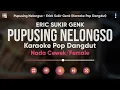 Download Lagu Karaoke Pupusing Nelongso - Erick Sukir Genk (Karaoke Versi Dangdut) Nada Cewek/Female