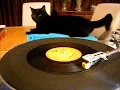 Toots & The Maytals - Johnny Cool Man - Trojan Reggae -  45 rpm