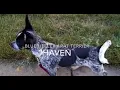 Haven s 1st Time