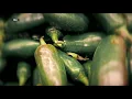 Chipotle pulls jalapenos from some stores after possible salmonella outbreak