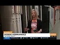 Different Types of Security And Retractable Screen Doors - Home Depot Debbie 2022
