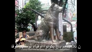 موسيقى حزينة جدا قصة وفاء كلب Sad Music  موسيقى حزينة جدا قصة وفاء كلب Sad Music