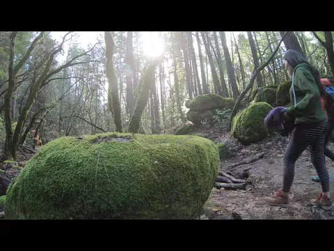 Pacific Union College hike Napa - YouTube thumbnail