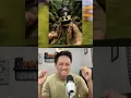Download Lagu Kalian Pasti Ga Hapal Lagu Anomali Ini