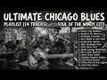Buddy Guy Chicago Blues Collection 🔥 Soulful Electric Guitar & Blues
