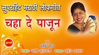 chahaa de pajun khara khilade nauvari cha nakhara 