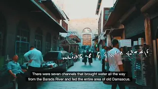 الياسمين الشامي شارة حمام القيشاني 