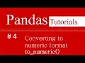 Pandas Tutorials 4 How to convert attribute into numeric form in Pandas