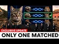Scientists Compared House Cat DNA to Every Wild Cat Only One Matched