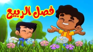 فصل الربيع   طيور بيبي            دندنها