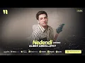 Lagu Alibek Abdullayev - Nedendi (cover 2024)