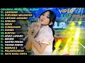 Download Lagu Lamunan Difarina Indra Full Album Om Adella Pupusing Nelongso - Lintang Asmoro