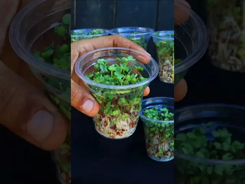 لا تنتظر 50 يوم 🌱فى 5 ايام هتأكل منها