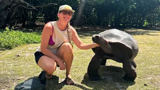 Seeing the World Famous Giant Tortoises of the Seychelles!