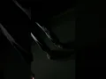 COP ARREST WOMEN FOR CALLING HIM A D HEAD CLEARWATER PD CASEY RAY