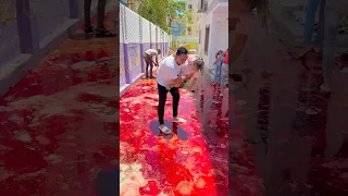 عيد أضحى سعيد 