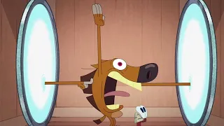 Zig & Sharko | Where Does It Go? | BEST CARTOON COLLECTION | New Episodes in HD