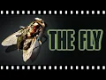 Download Lagu Why THE FLY is the Ultimate Terrifying Love Story
