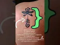 Lotus Flower Unalome and Serch Bythol Tattoo Meaning