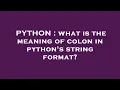 PYTHON what is the meaning of colon in python s string format