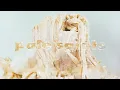 Pale Saints - Hair Shoes (Official Visualiser)