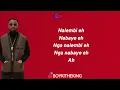 Fally Ipupa - Lady D (Paroles)