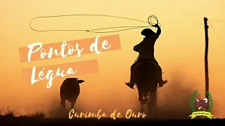 PONTOS DE LÉGUA #2