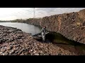 Download Lagu Pescaria no Rio grande em um lugar maravilhoso várias espécies de Peixes é só chegar que vem