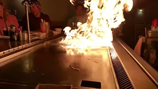 Sagano Japanese bistro real flame grilling