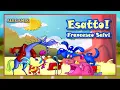 Download Lagu Francesco Salvi - Esatto!
