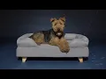 Don t Skate Around - NEW Memory Foam Bolster Dog Beds from Omlet