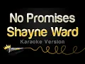 Download Lagu Shayne Ward - No Promises (Karaoke Version)