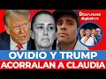 Download Lagu ¡TRUMP ATACA! Lanza ofensiva contra Sheinbaum por caso Ovidio
