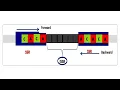 Download Lagu Inter Simple Sequence Repeat of ISSR Marker