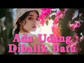 Download Lagu Ada Udang Di Balik Batu Pop Mandarin Indonesia MP3
