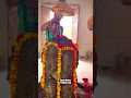 Download Lagu Ganga Dharay Shiv | Sundeep Gosswami | #👍 #👍 #shiva #mahadev #bholenath #mahakal #shiv