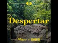Despertar