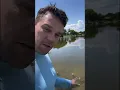 Gators in Florida