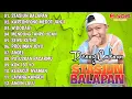 Download Lagu DENNY CAKNAN \