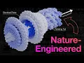 Lagu Decoding nature’s masterful engineering using math (TMEB #2)