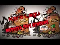 Download Lagu Merdeka Tapi Bingung – Marjinal - REGGAE SKA Cover \u0026 Lirik (Cover By Jovita Aurel) || Kero Lagu