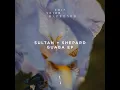 Vahé - Sultan + Shepard