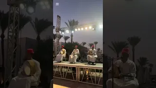  انت انسان كداب كداب من غير احساس  عود  قولي ازاي تجرحني  عزف عود  انت انسان كداب دندنها